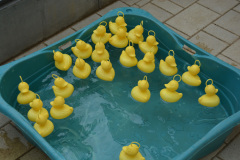 ente-min