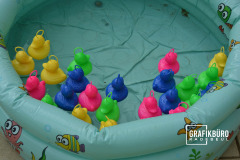 ente1-min